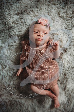 Eliana - Newborn_071522_0151
