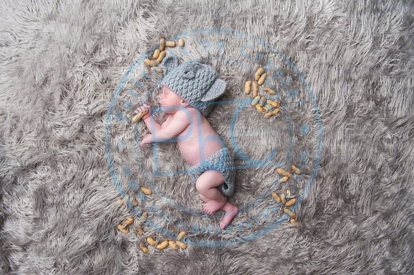 Vance - Newborn_091819_0161