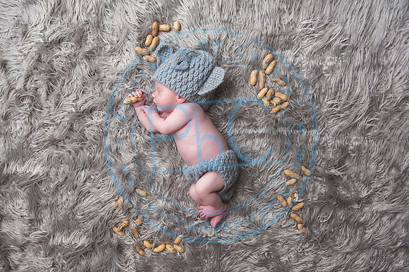 Vance - Newborn_091819_0166