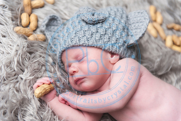 Vance - Newborn_091819_0169