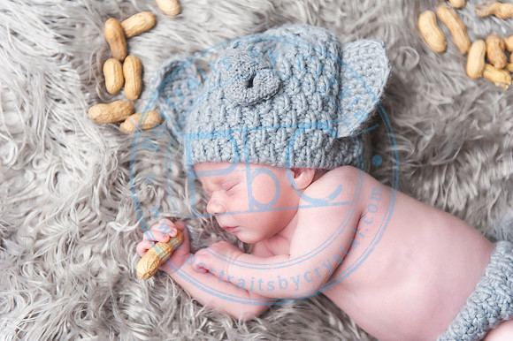 Vance - Newborn_091819_0171