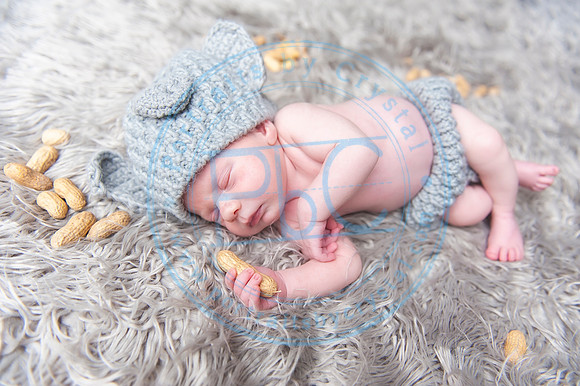 Vance - Newborn_091819_0182