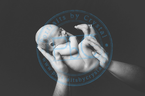 Vance - Newborn_091819_0189