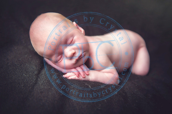 Vance - Newborn_091819_0201
