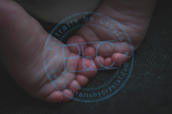 Vance - Newborn_091819_0217