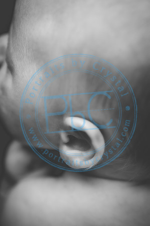 Vance - Newborn_091819_0223