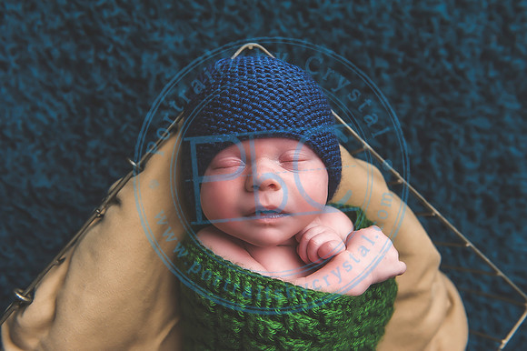 Vance - Newborn_091819_0240_1