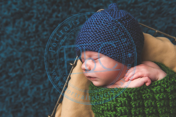 Vance - Newborn_091819_0246_1