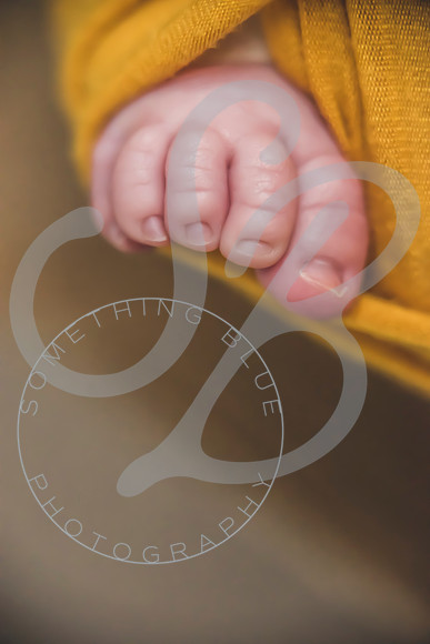 Maverick - Newborn_012122_0166