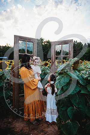 Sunflower Minis - Katelin_071222_0032