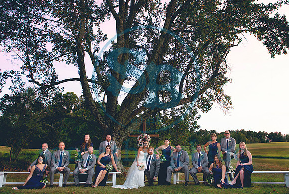 Bridal Party Composite