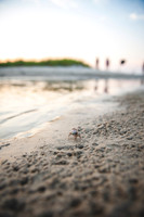 Shultz Generational - Summer 2019_080919_0139