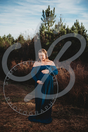Lindsay - Maternity_112522_0029
