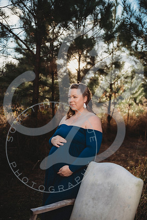 Lindsay - Maternity_112522_0102