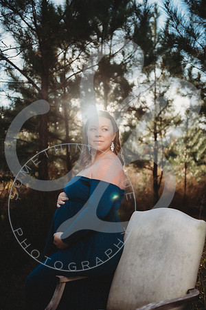 Lindsay - Maternity_112522_0108