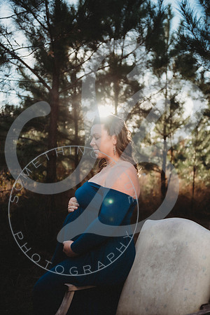 Lindsay - Maternity_112522_0116