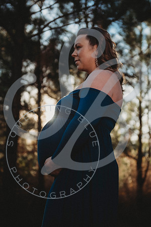 Lindsay - Maternity_112522_0129