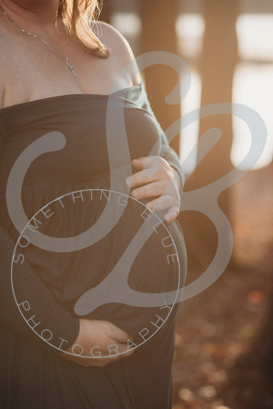 Lindsay - Maternity_112522_0223