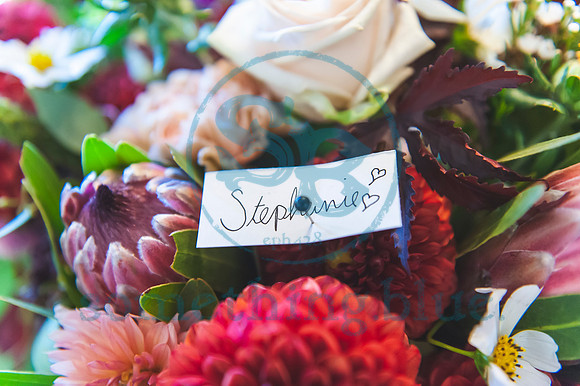 Stephanie & Pierce - Wedding.0245