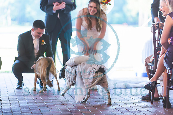 Stephanie & Pierce - Wedding.0893
