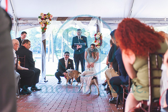 Stephanie & Pierce - Wedding.0921