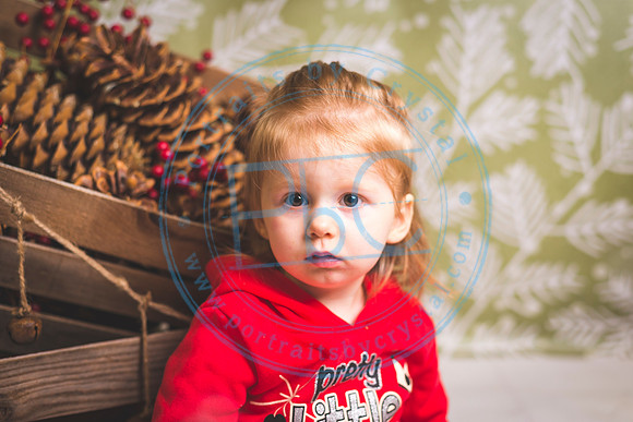 Progressive School - Fall 2019_111219_0795