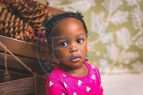 Progressive School - Fall 2019_111219_0843