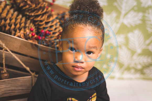 Progressive School - Fall 2019_111219_0860