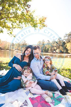 Alyssa Wells - Maternity_110319_0023