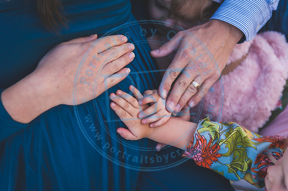 Alyssa Wells - Maternity_110319_0042