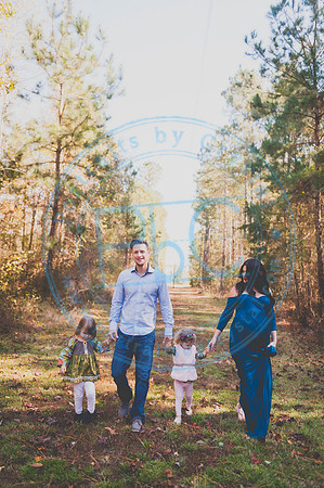 Alyssa Wells - Maternity_110319_0121