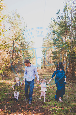 Alyssa Wells - Maternity_110319_0129