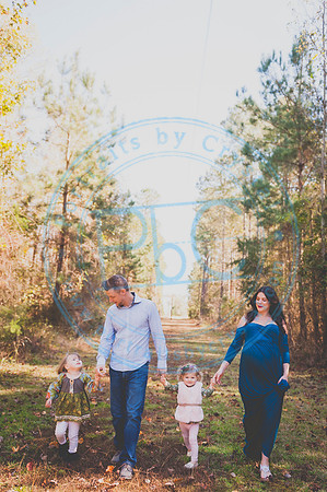 Alyssa Wells - Maternity_110319_0134