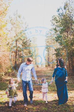 Alyssa Wells - Maternity_110319_0141