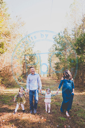 Alyssa Wells - Maternity_110319_0144