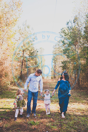 Alyssa Wells - Maternity_110319_0149