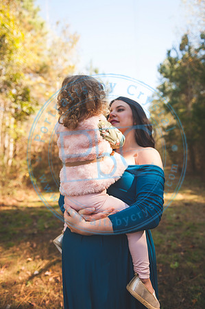 Alyssa Wells - Maternity_110319_0157