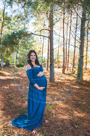 Alyssa Wells - Maternity_110319_0184