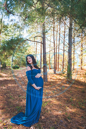 Alyssa Wells - Maternity_110319_0187