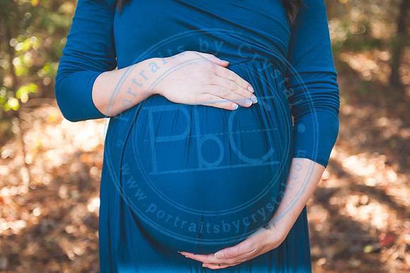 Alyssa Wells - Maternity_110319_0203