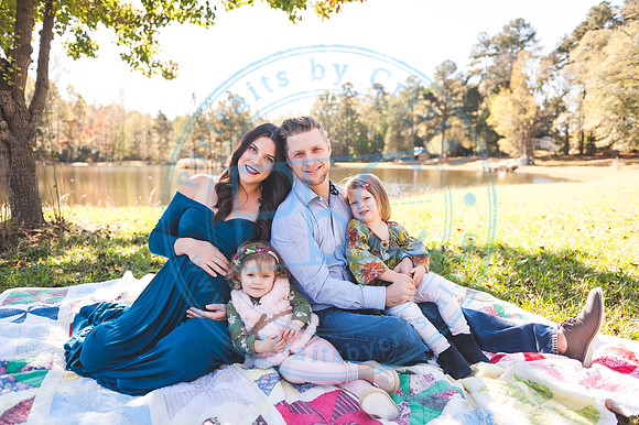 Alyssa Wells - Maternity_110319_0016