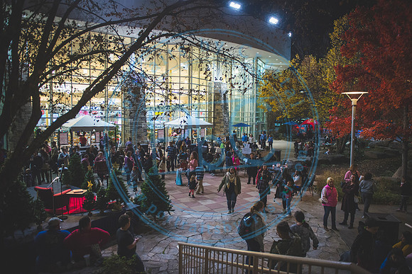 Santa's Arrival - TTC_112219_0150