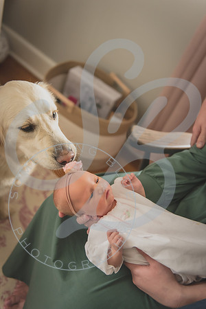 Frazier - NB_030124_0272