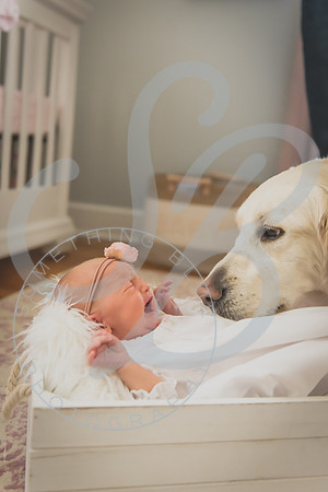 Frazier - NB_030124_0415