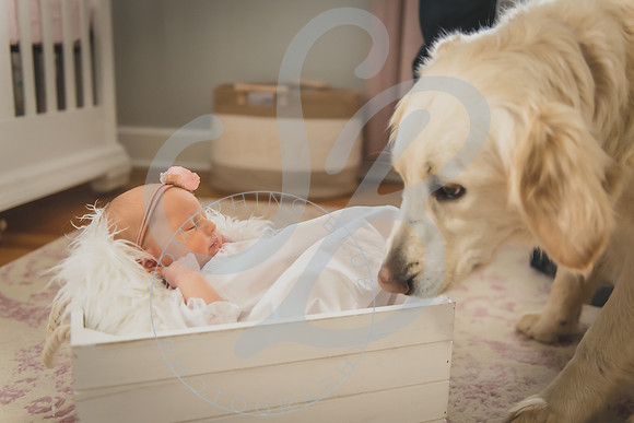 Frazier - NB_030124_0406