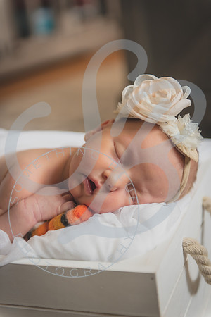 Frazier - NB_030124_0625