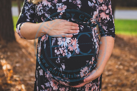 Mallory - Maternity_112919_0287