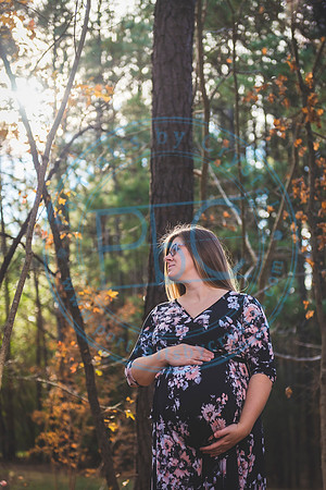 Mallory - Maternity_112919_0305