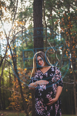 Mallory - Maternity_112919_0308