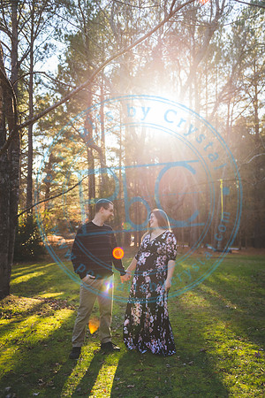 Mallory - Maternity_112919_0418